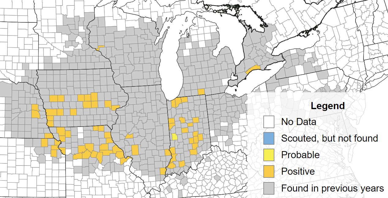 Map of the Midwest showing areas with confirmed tar spot.